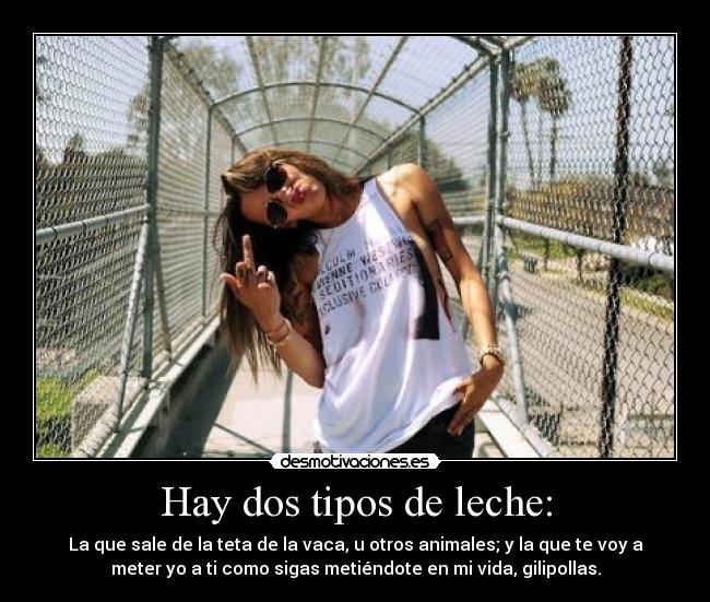 Hay dos tipos de leche: - 