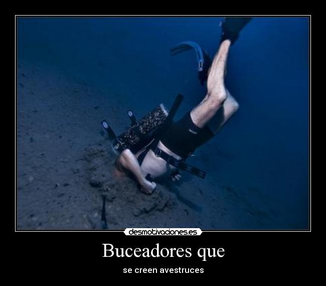 Buceadores que -