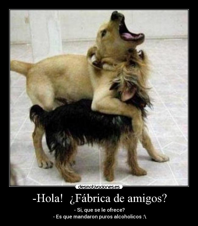 -Hola! ¿Fábrica de amigos? -