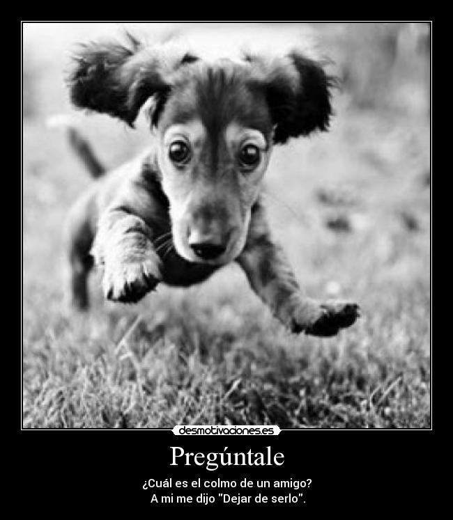 Pregúntale - ¿Cuál es el colmo de un amigo?
A mi me dijo Dejar de serlo.