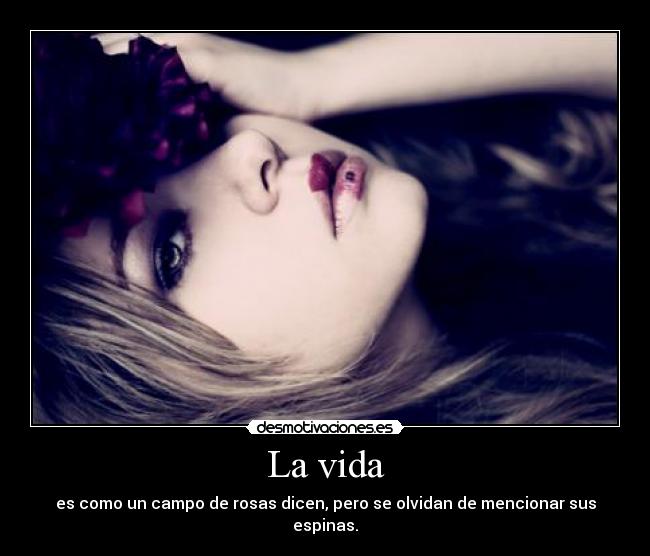 La vida - es como un campo de rosas dicen, pero se olvidan de mencionar sus espinas.