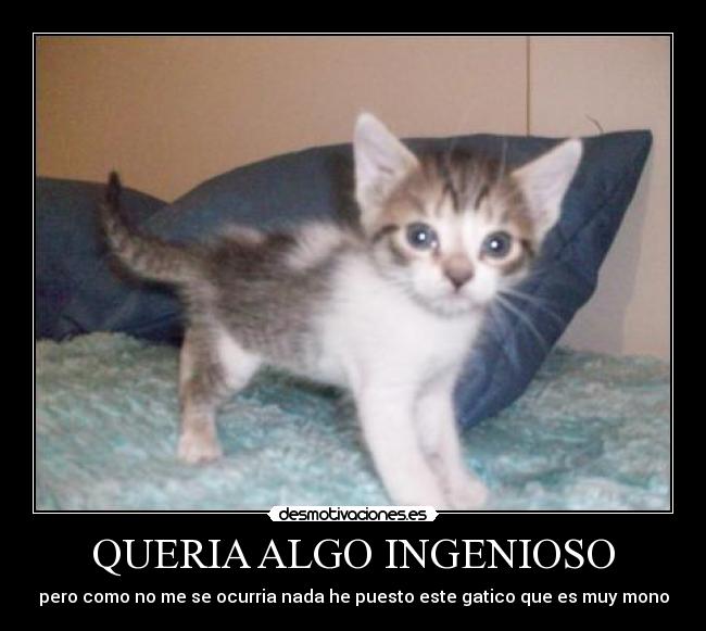 QUERIA ALGO INGENIOSO -