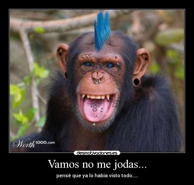 Vamos no me jodas... - pensé que ya lo habia visto todo.....