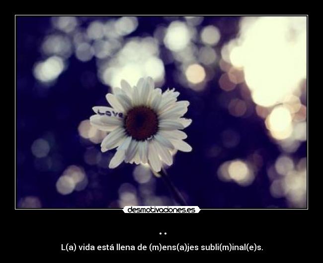 carteles amame desmotivaciones