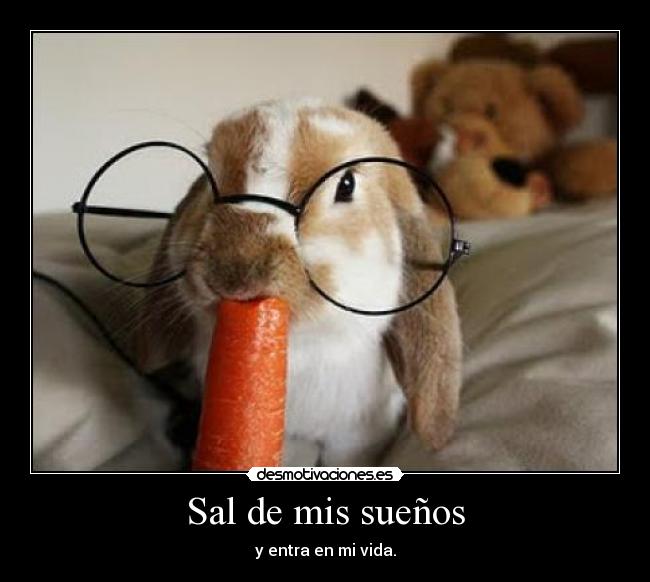 Sal de mis sueños -