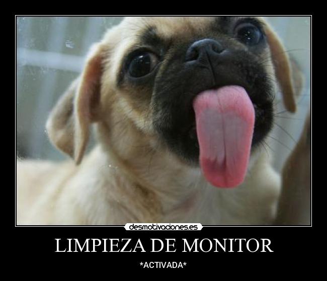 LIMPIEZA DE MONITOR - *ACTIVADA*
