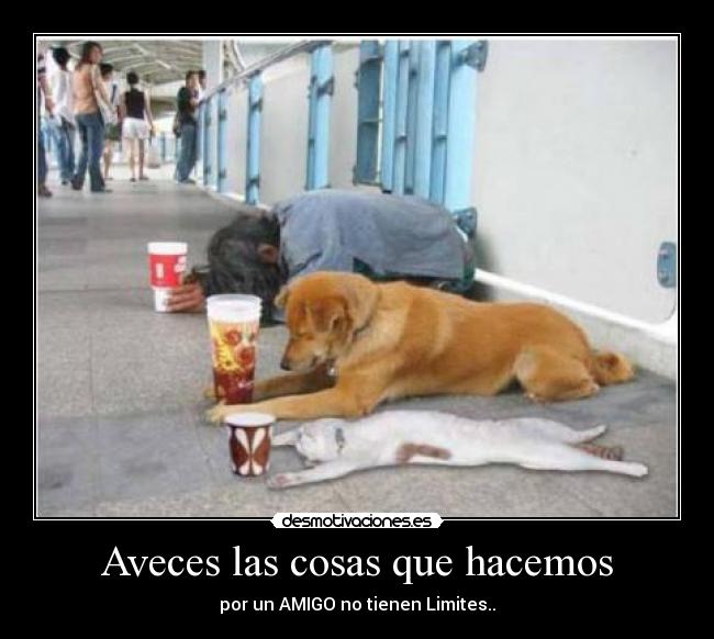 Aveces las cosas que hacemos - 