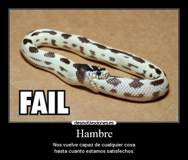 Hambre - Nos vuelve capaz de cualquier cosa
hasta cuanto estamos satisfechos.