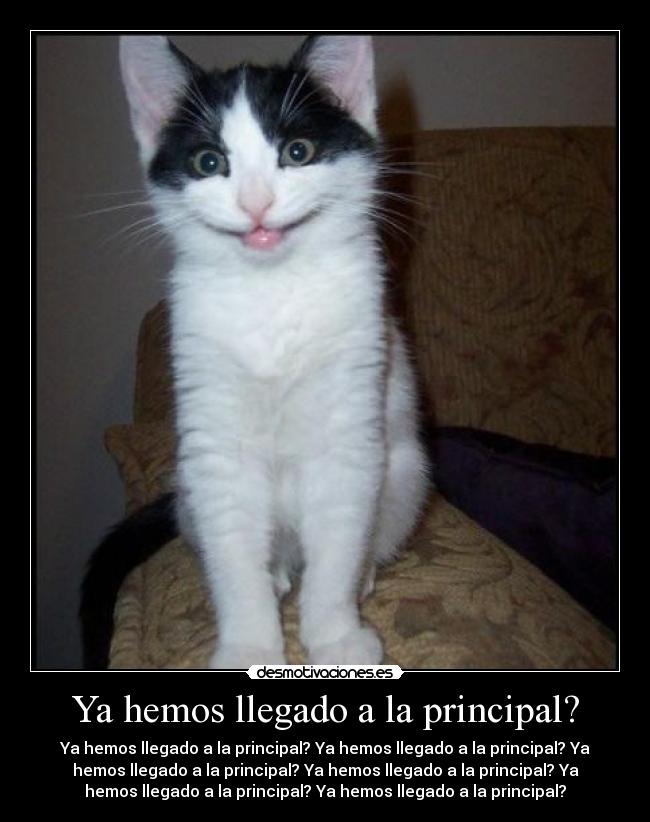 Ya hemos llegado a la principal? - Ya hemos llegado a la principal? Ya hemos llegado a la principal? Ya
hemos llegado a la principal? Ya hemos llegado a la principal? Ya
hemos llegado a la principal? Ya hemos llegado a la principal?