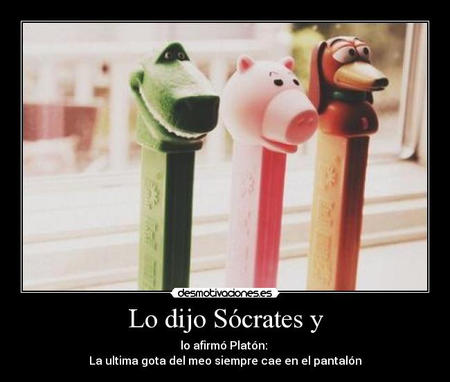 Lo dijo Sócrates y - 