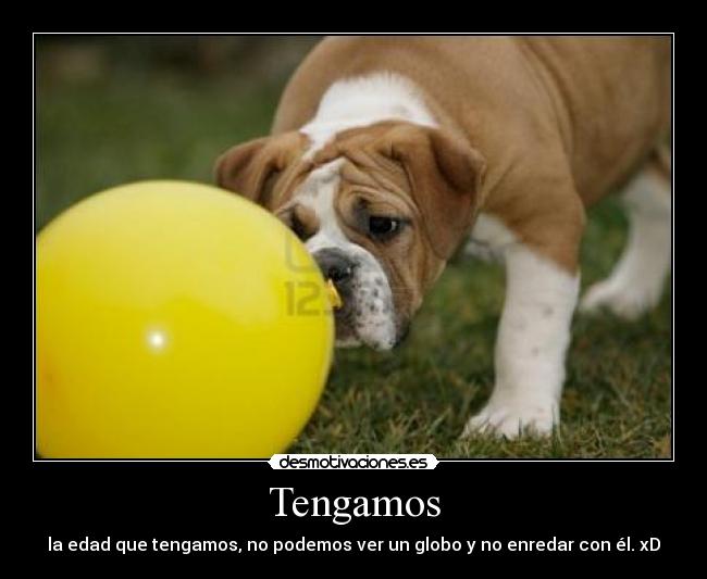 Tengamos - la edad que tengamos, no podemos ver un globo y no enredar con él. xD