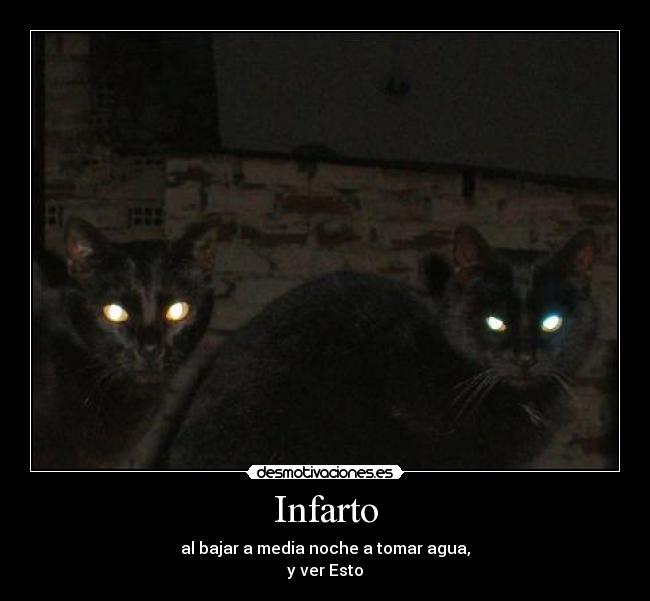 Infarto - 