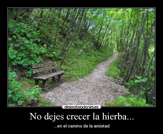 No dejes crecer la hierba... - ...en el camino de la amistad