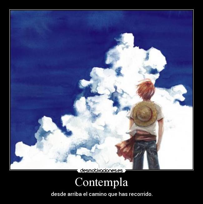 Contempla - 