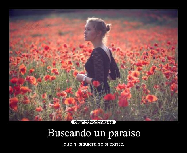 Buscando un paraiso - 