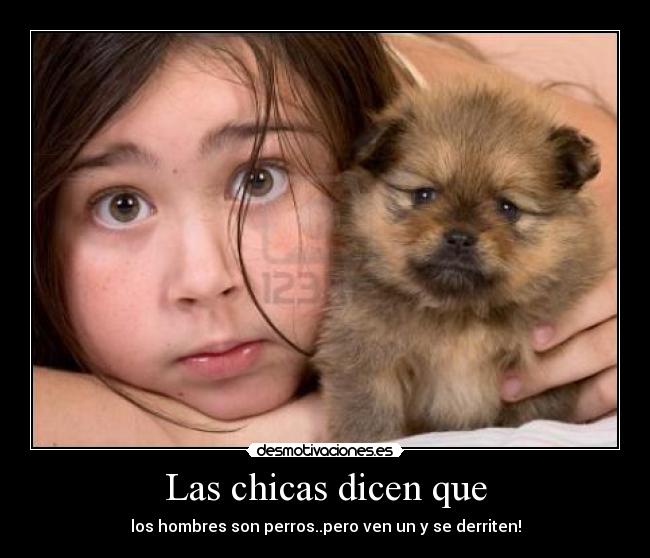 Las chicas dicen que - los hombres son perros..pero ven un y se derriten!