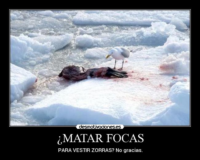 ¿MATAR FOCAS - PARA VESTIR ZORRAS? No gracias.