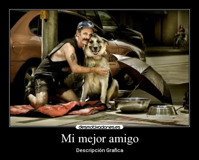 carteles lrc1894 humano somos los mejores xdd desmotivaciones