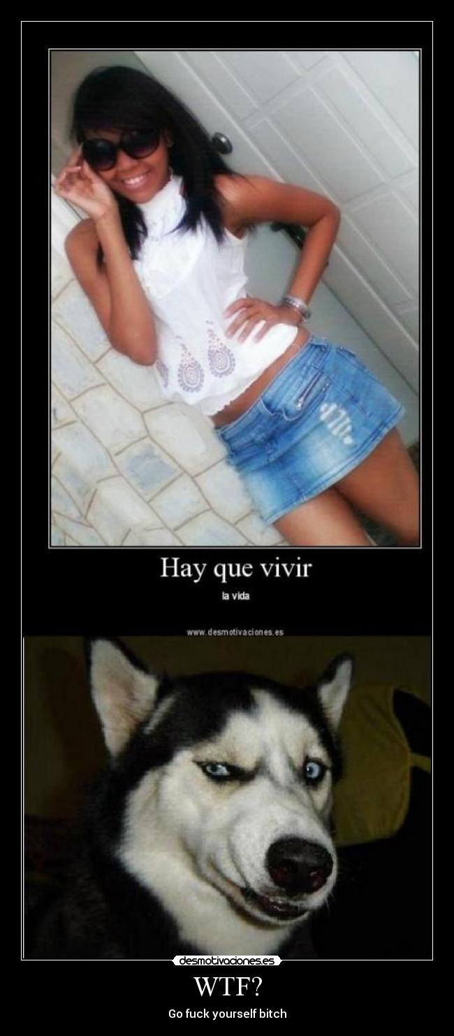 WTF? - Go fuck yourself bitch