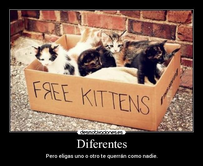 Diferentes -