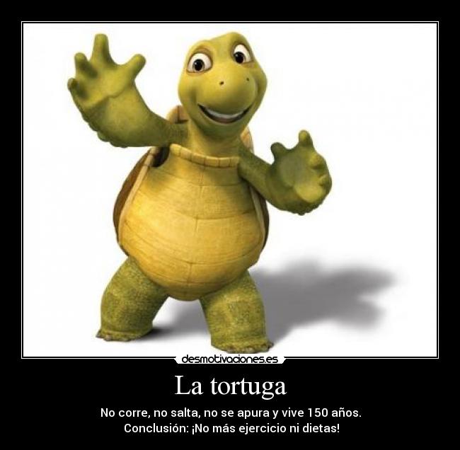 carteles tortuga vagancia desmotivaciones