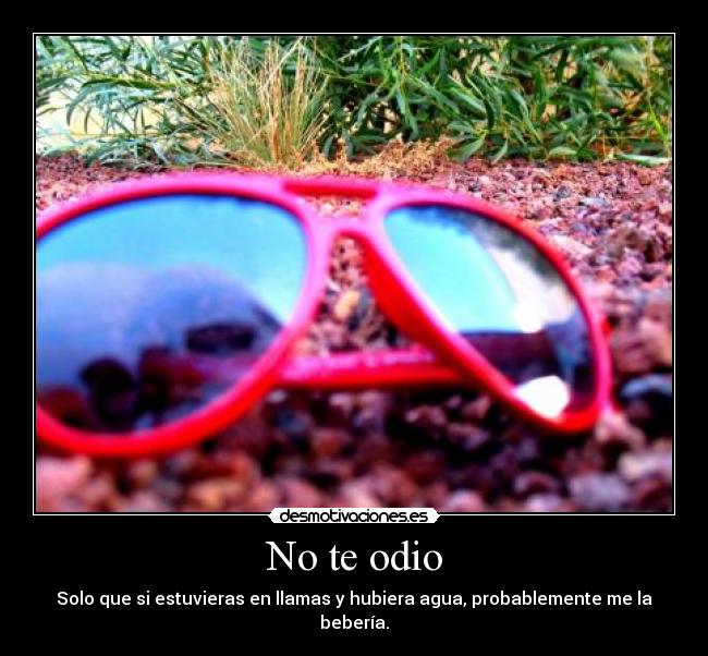 No te odio - Solo que si estuvieras en llamas y hubiera agua, probablemente me la bebería.