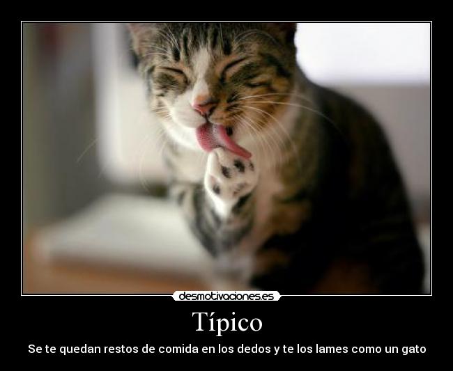 Típico - Se te quedan restos de comida en los dedos y te los lames como un gato