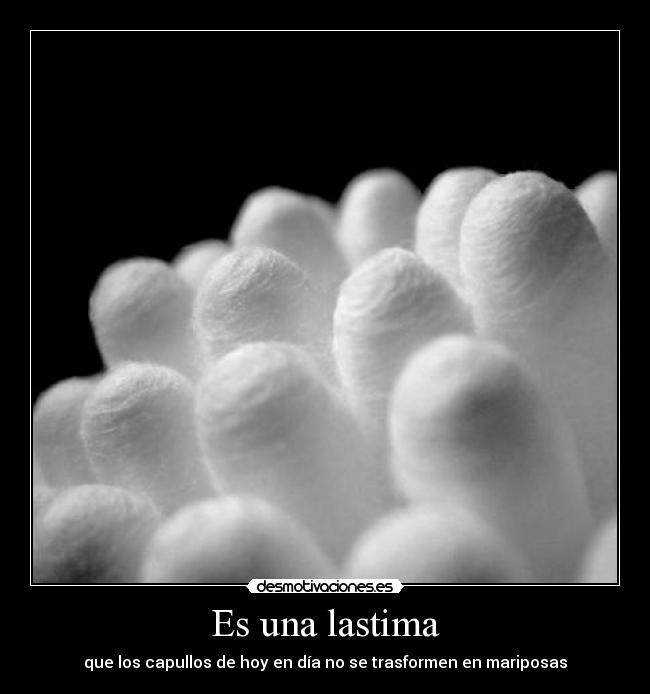 carteles por esas personas que solo saben que joder bollicao desmotivaciones