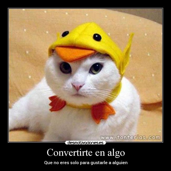 Convertirte en algo -