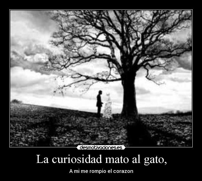 carteles 5454 desmotivaciones