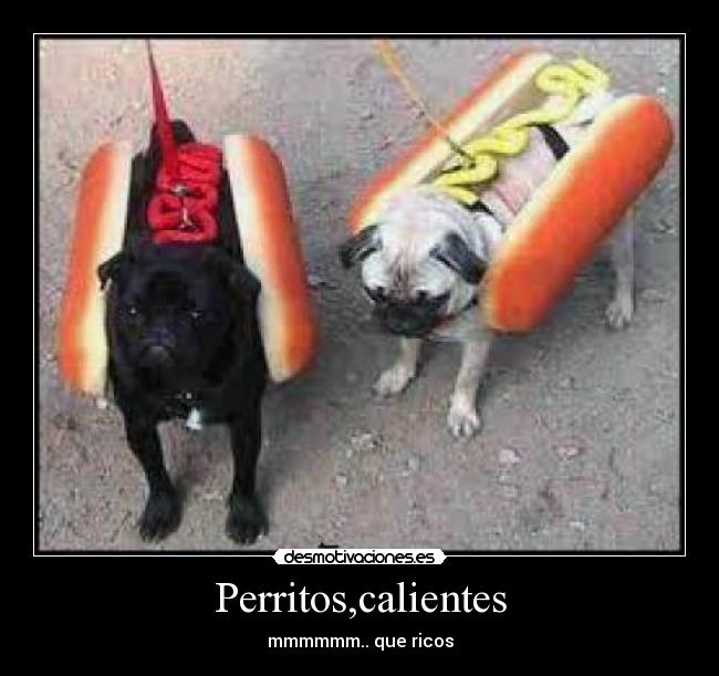 Perritos,calientes - mmmmmm.. que ricos