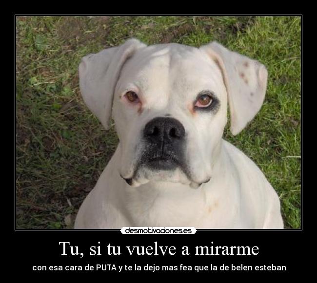 Tu, si tu vuelve a mirarme - con esa cara de PUTA y te la dejo mas fea que la de belen esteban