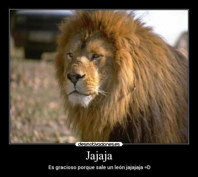 Jajaja - Es gracioso porque sale un león jajajaja =D