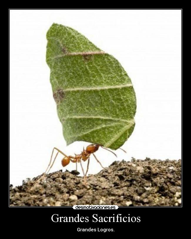 Grandes Sacrificios -