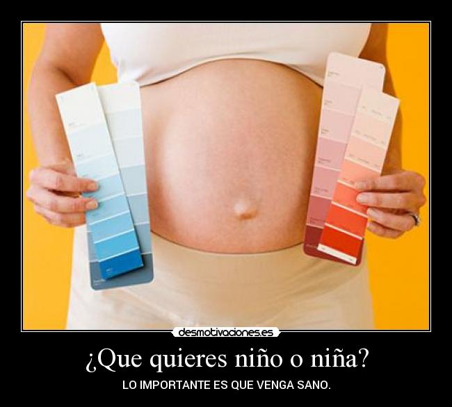 ¿Que quieres niño o niña? - LO IMPORTANTE ES QUE VENGA SANO.