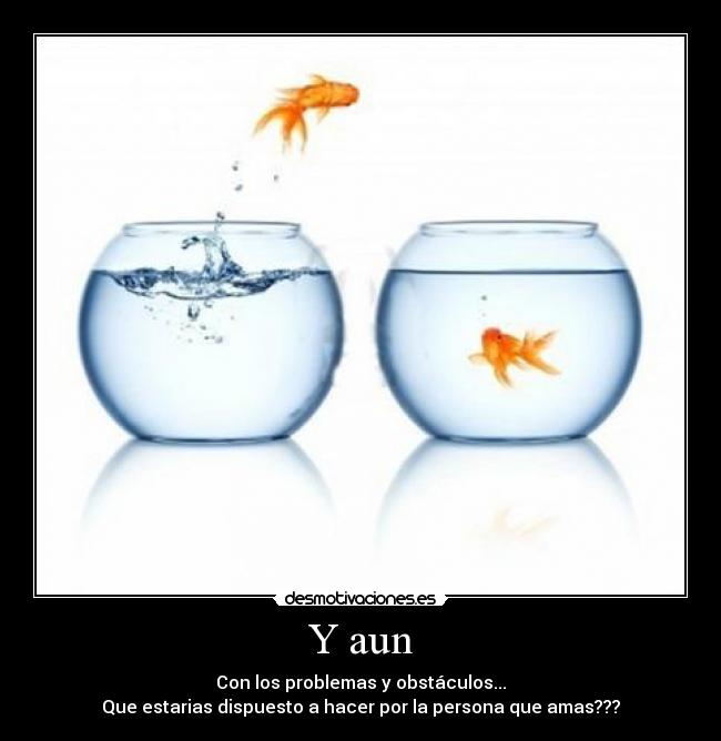 carteles amor desmotivaciones