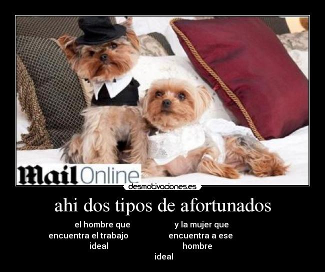 ahi dos tipos de afortunados - el hombre que y la mujer que
encuentra el trabajo encuentra a ese
ideal hombre
ideal
