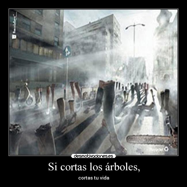 Si cortas los árboles, - 