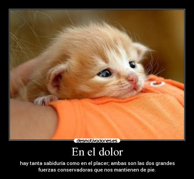 En el dolor - 