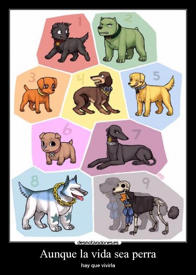 Aunque la vida sea perra - 
