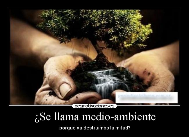 ¿Se llama medio-ambiente - porque ya destruimos la mitad?