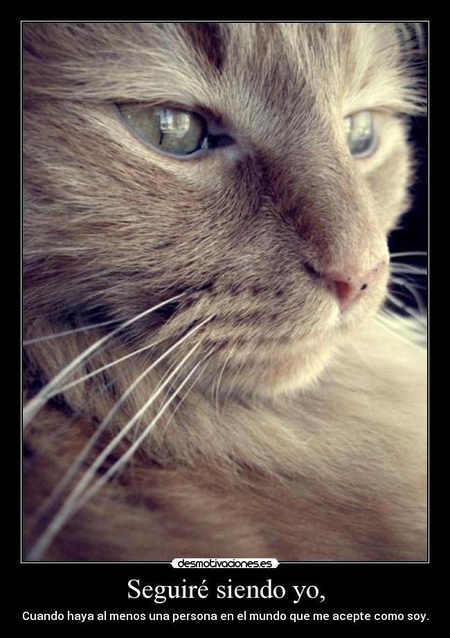 Seguiré siendo yo, - Cuando haya al menos una persona en el mundo que me acepte como soy.