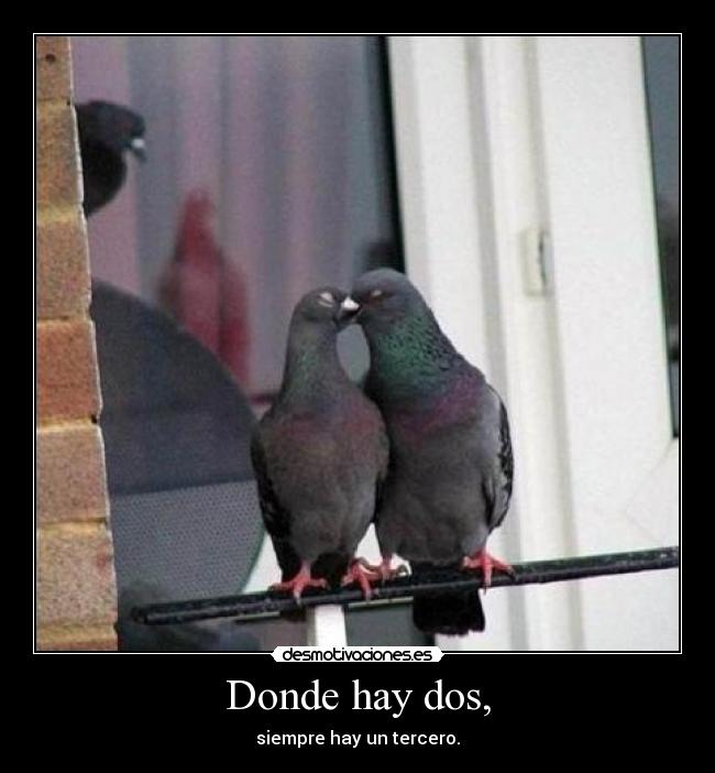 Donde hay dos, - 