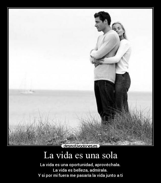 La vida es una sola -