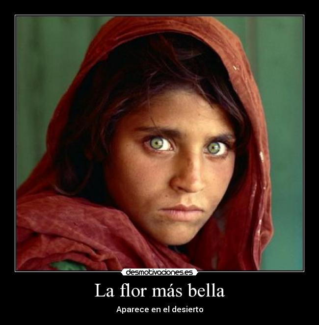 La flor más bella - 