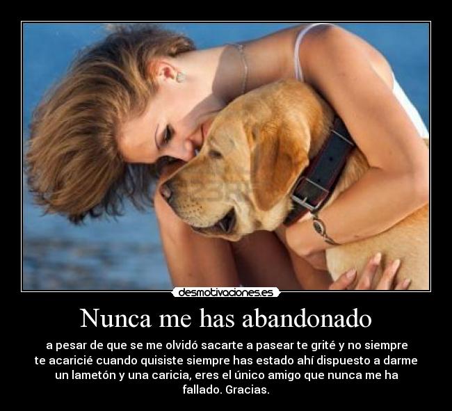 Nunca me has abandonado -