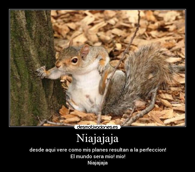 Niajajaja - desde aqui vere como mis planes resultan a la perfeccion!
El mundo sera mio! mio!
Niajajaja