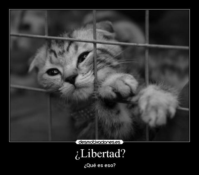 carteles libertad cada cual suyo desmotivaciones
