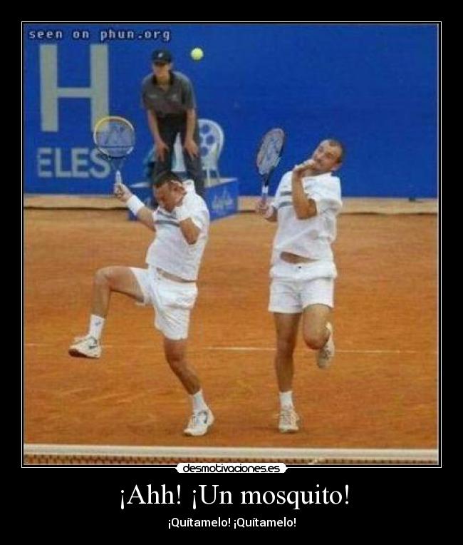 ¡Ahh! ¡Un mosquito! -