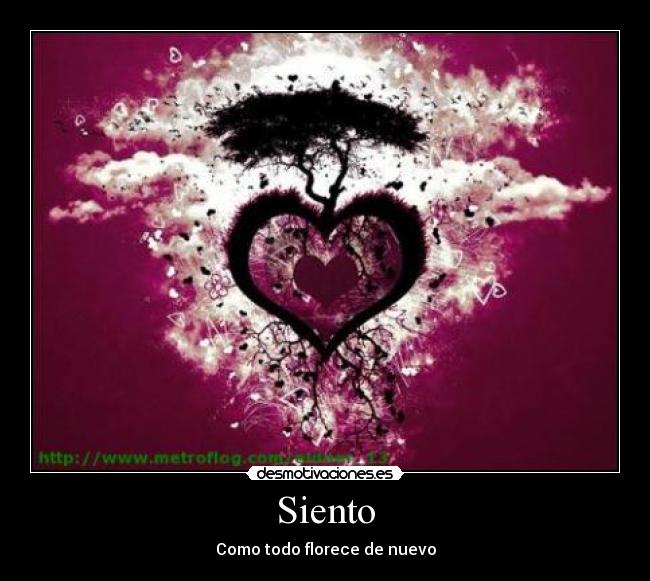 Siento - Como todo florece de nuevo